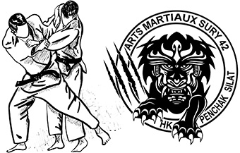 image Judo des Arts Martiaux Sury 42